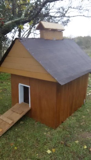 doghouse built using scrap MDO