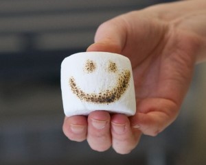 Toasted marshmallow with a smiley face. Image courtesy of evilmadscientist.com